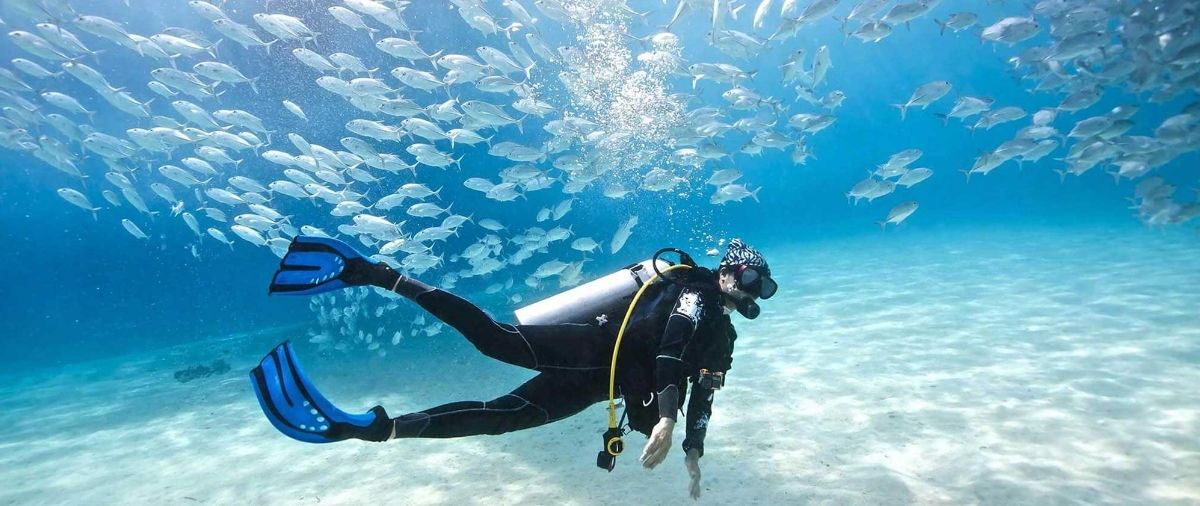 Buceo en Los Roques - Arrecife Divers te hace vivir la mágica aventura del mundo marino
