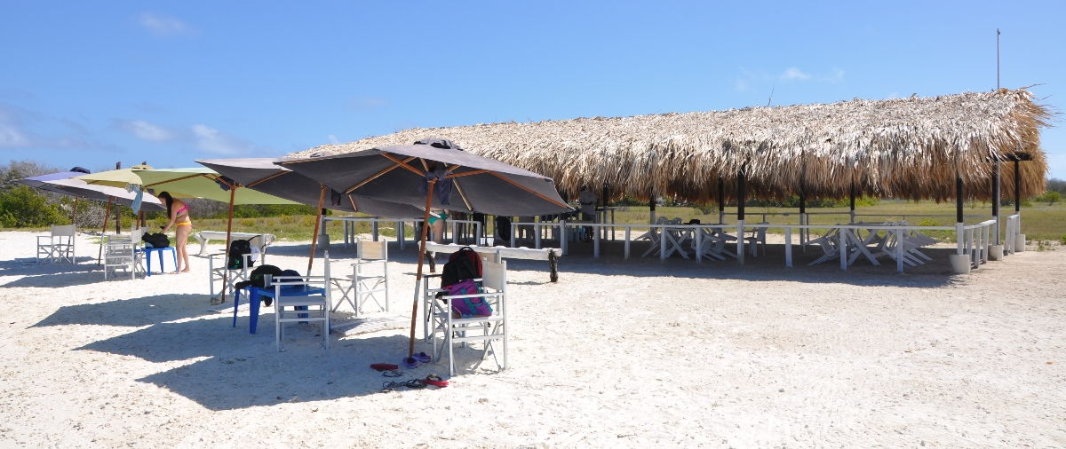 Campamento a la orilla de playa - Los Roques Full Day